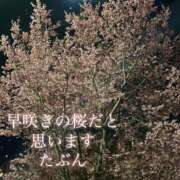 ヒメ日記 2026/02/28 21:12 投稿 爛(らん) 人妻城 横浜本店
