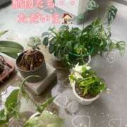 ヒメ日記 2026/03/04 20:32 投稿 爛(らん) 人妻城 横浜本店