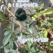 ヒメ日記 2026/03/06 13:02 投稿 爛(らん) 人妻城 横浜本店