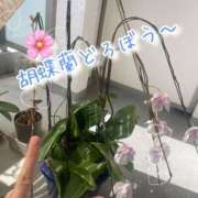 ヒメ日記 2026/03/13 11:13 投稿 爛(らん) 人妻城 横浜本店