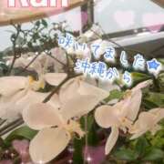 ヒメ日記 2026/04/07 08:17 投稿 爛(らん) 人妻城 横浜本店