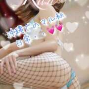 ヒメ日記 2026/04/12 07:10 投稿 爛(らん) 人妻城 横浜本店