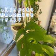 ヒメ日記 2026/04/17 18:50 投稿 爛(らん) 人妻城 横浜本店