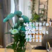 ヒメ日記 2026/04/18 14:41 投稿 爛(らん) 人妻城 横浜本店