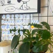 ヒメ日記 2026/04/19 11:51 投稿 爛(らん) 人妻城 横浜本店