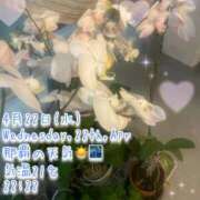 ヒメ日記 2026/04/22 22:35 投稿 爛(らん) 人妻城 横浜本店