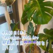 ヒメ日記 2026/04/23 11:24 投稿 爛(らん) 人妻城 横浜本店