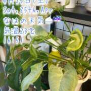 ヒメ日記 2026/04/25 17:22 投稿 爛(らん) 人妻城 横浜本店
