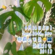 ヒメ日記 2026/04/26 20:43 投稿 爛(らん) 人妻城 横浜本店