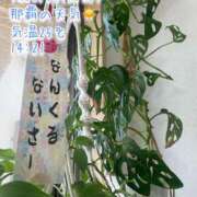 ヒメ日記 2026/04/28 14:46 投稿 爛(らん) 人妻城 横浜本店