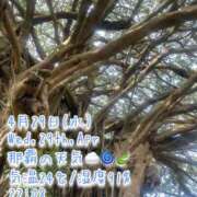 ヒメ日記 2026/04/29 22:28 投稿 爛(らん) 人妻城 横浜本店