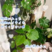 ヒメ日記 2026/04/29 23:38 投稿 爛(らん) 人妻城 横浜本店
