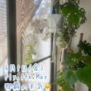 ヒメ日記 2026/05/01 15:46 投稿 爛(らん) 人妻城 横浜本店