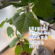 ヒメ日記 2026/05/02 17:24 投稿 爛(らん) 人妻城 横浜本店