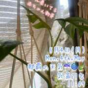 ヒメ日記 2026/05/04 11:31 投稿 爛(らん) 人妻城 横浜本店