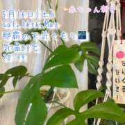 ヒメ日記 2026/05/16 21:02 投稿 爛(らん) 人妻城 横浜本店
