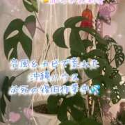 ヒメ日記 2026/06/09 01:09 投稿 爛(らん) 人妻城 横浜本店