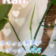 ヒメ日記 2026/06/16 15:25 投稿 爛(らん) 人妻城 横浜本店