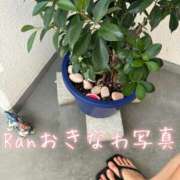 爛(らん) 🍉らんのオキログ台風から復活🍉 人妻城 横浜本店