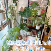 ヒメ日記 2026/08/20 13:01 投稿 爛(らん) 人妻城 横浜本店