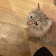 ヒメ日記 2025/06/03 01:30 投稿 あずさ☆超あたり！大当たり！！ JKサークル