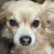 ヒメ日記 2025/06/03 21:30 投稿 あずさ☆超あたり！大当たり！！ JKサークル