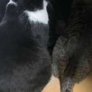 ヒメ日記 2025/06/05 20:00 投稿 あずさ☆超あたり！大当たり！！ JKサークル