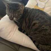 ヒメ日記 2025/06/06 00:15 投稿 あずさ☆超あたり！大当たり！！ JKサークル