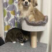 ヒメ日記 2025/06/07 09:01 投稿 あずさ☆超あたり！大当たり！！ JKサークル