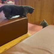 ヒメ日記 2025/06/10 23:45 投稿 あずさ☆超あたり！大当たり！！ JKサークル