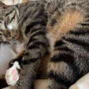 ヒメ日記 2025/06/14 09:01 投稿 あずさ☆超あたり！大当たり！！ JKサークル