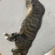 ヒメ日記 2025/06/17 02:00 投稿 あずさ☆超あたり！大当たり！！ JKサークル