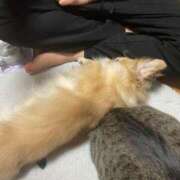 ヒメ日記 2025/06/28 01:00 投稿 あずさ☆超あたり！大当たり！！ JKサークル