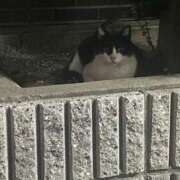 ヒメ日記 2025/07/05 23:00 投稿 あずさ☆超あたり！大当たり！！ JKサークル