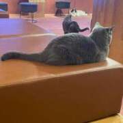 ヒメ日記 2025/07/08 02:00 投稿 あずさ☆超あたり！大当たり！！ JKサークル