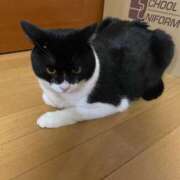 ヒメ日記 2025/07/14 15:00 投稿 あずさ☆超あたり！大当たり！！ JKサークル