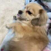 ヒメ日記 2025/07/16 15:00 投稿 あずさ☆超あたり！大当たり！！ JKサークル