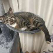 ヒメ日記 2025/07/19 09:01 投稿 あずさ☆超あたり！大当たり！！ JKサークル