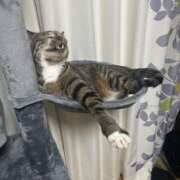 ヒメ日記 2025/07/22 23:01 投稿 あずさ☆超あたり！大当たり！！ JKサークル