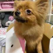 ヒメ日記 2025/08/06 21:02 投稿 あずさ☆超あたり！大当たり！！ JKサークル