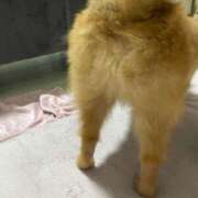 ヒメ日記 2025/08/07 00:24 投稿 あずさ☆超あたり！大当たり！！ JKサークル