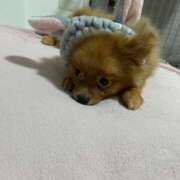 ヒメ日記 2025/08/10 03:30 投稿 あずさ☆超あたり！大当たり！！ JKサークル