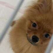 ヒメ日記 2025/08/10 21:01 投稿 あずさ☆超あたり！大当たり！！ JKサークル