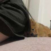 ヒメ日記 2025/08/11 22:30 投稿 あずさ☆超あたり！大当たり！！ JKサークル