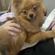 ヒメ日記 2025/08/13 15:00 投稿 あずさ☆超あたり！大当たり！！ JKサークル