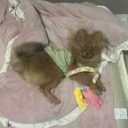 ヒメ日記 2025/08/13 20:01 投稿 あずさ☆超あたり！大当たり！！ JKサークル