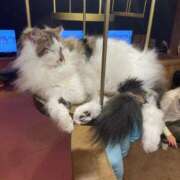 ヒメ日記 2025/08/16 22:01 投稿 あずさ☆超あたり！大当たり！！ JKサークル