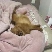 ヒメ日記 2025/08/18 12:01 投稿 あずさ☆超あたり！大当たり！！ JKサークル