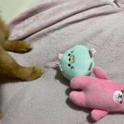 ヒメ日記 2025/08/20 00:40 投稿 あずさ☆超あたり！大当たり！！ JKサークル