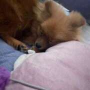 ヒメ日記 2025/08/20 09:00 投稿 あずさ☆超あたり！大当たり！！ JKサークル